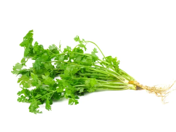 Coriander Dried & Powder - Image 3