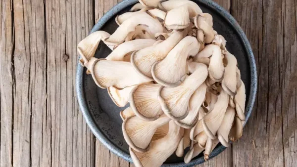 Mushroom Dried & Powder - Image 4